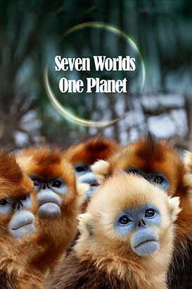 پوستر فیلم  هفت جهان یک سیاره